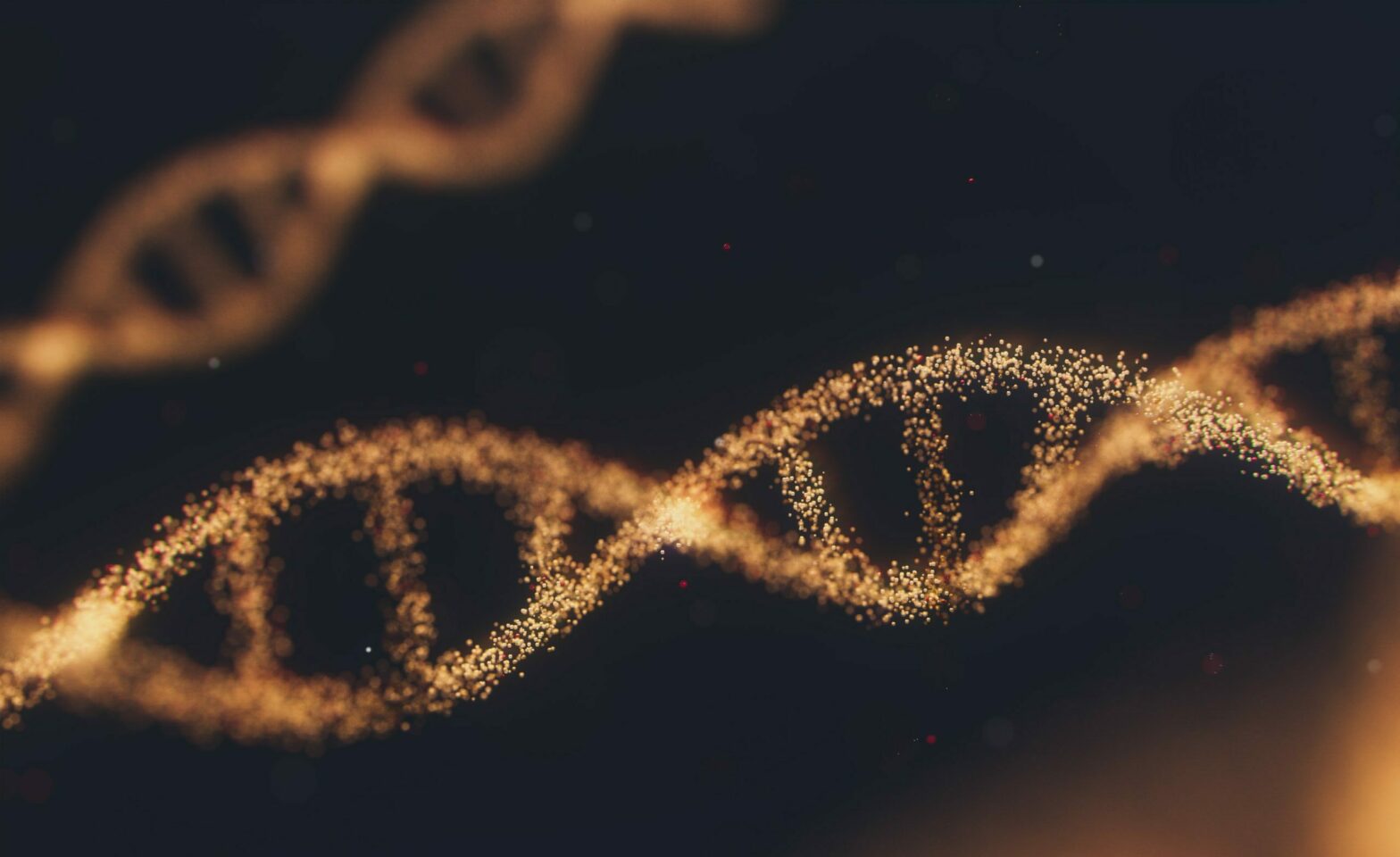 Dna streng testen, voeiding genetica epigenetica